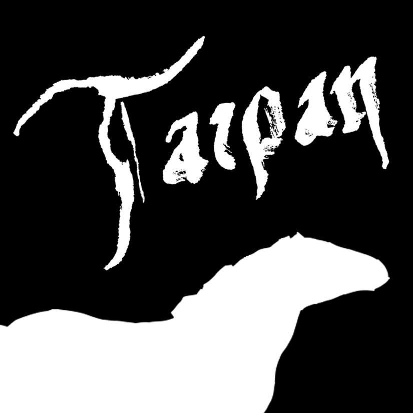 Tarpan